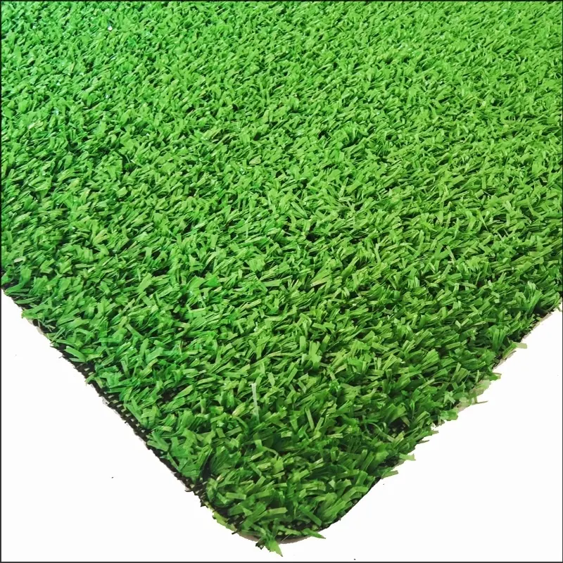 See More About कालीन घास CG8