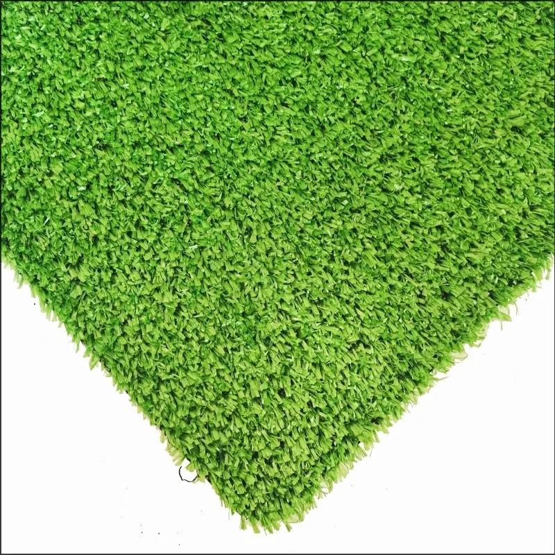 See More About कालीन घास CG10