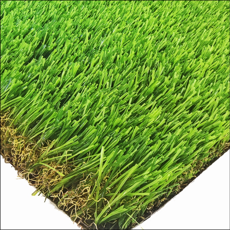 गार्डन ग्रास (GG45)